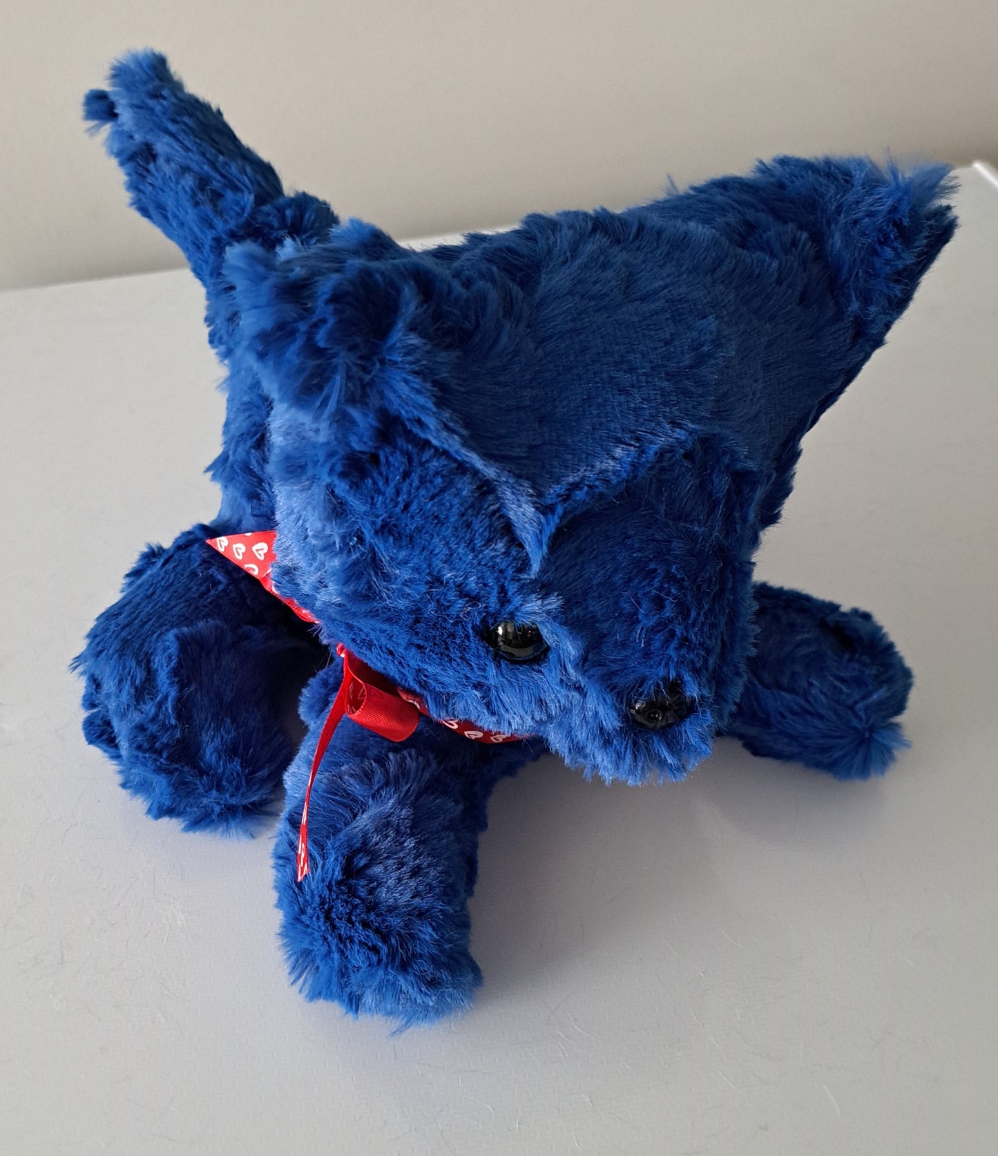 Blue Kitten